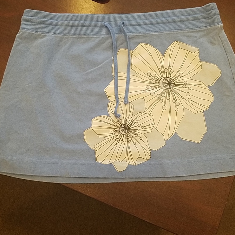 Express skirt